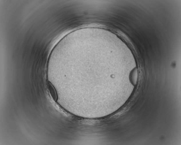 X0000115410860200912011339