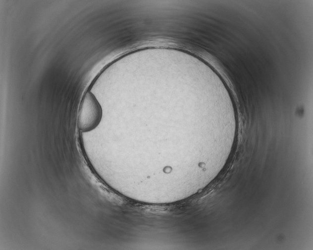 X0000115410861200912011339