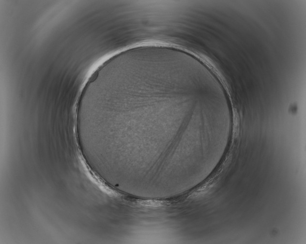 X0000115410862200912011339