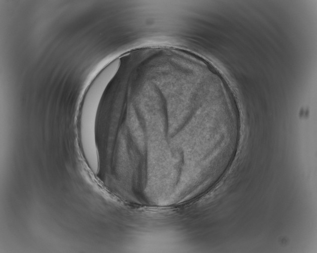 X0000115410864200912011339