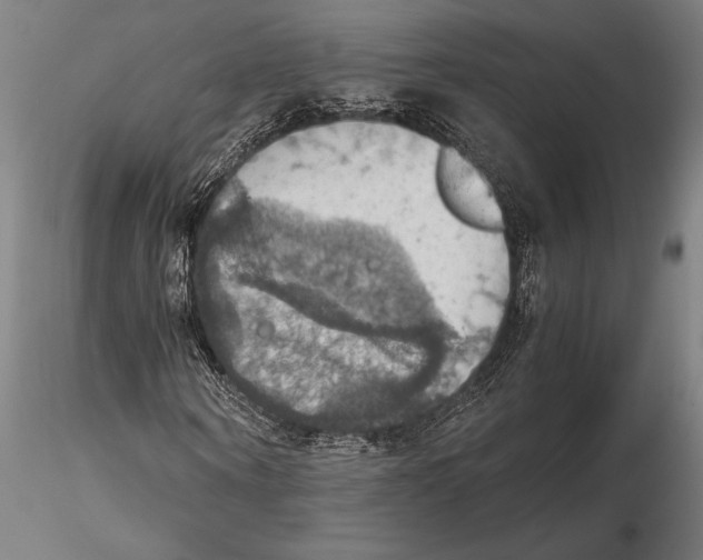 X0000115410866200912011338