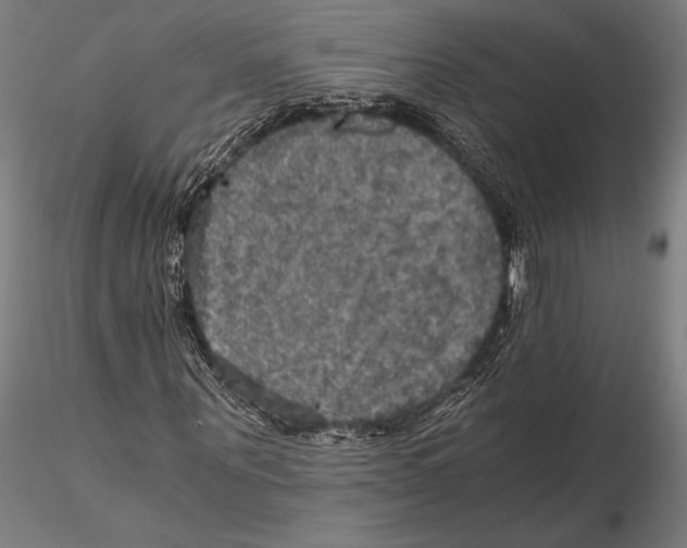 X0000115410867200912011338