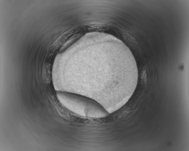 X0000115410868200912011338