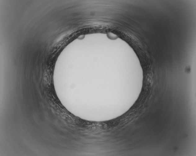 X0000115410869200912011338