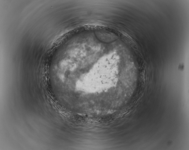 X0000115410870200912011338