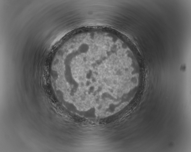 X0000115410871200912011338