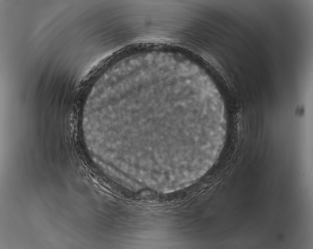 X0000115410872200912011338