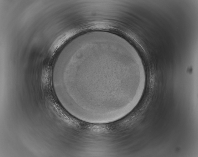 X0000115410874200912011338