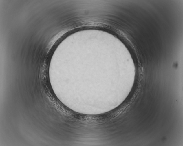 X0000115410875200912011338