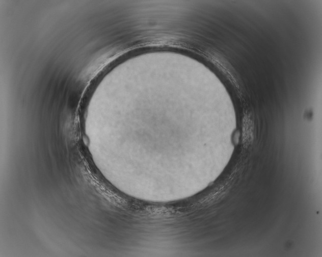 X0000115410876200912011338