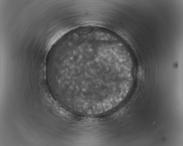 X0000115410877200912011338