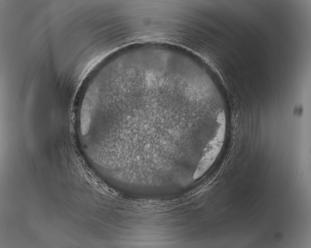 X0000115410879200912011338