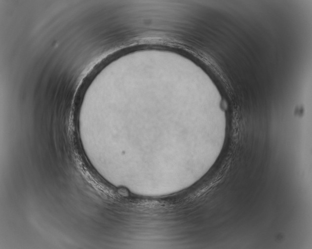 X0000115410880200912011338