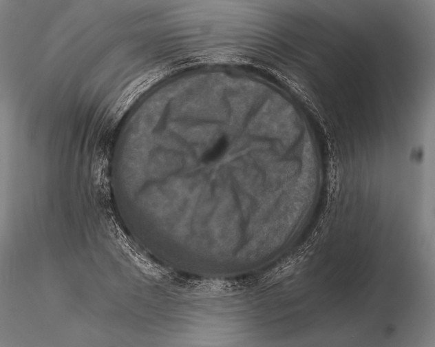 X0000115410881200912011338