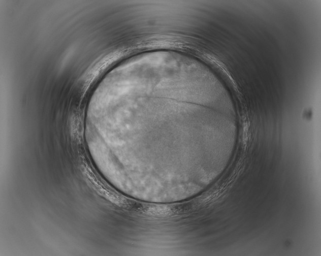 X0000115410882200912011338