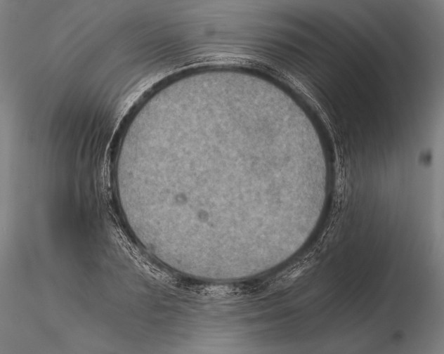 X0000115410883200912011338