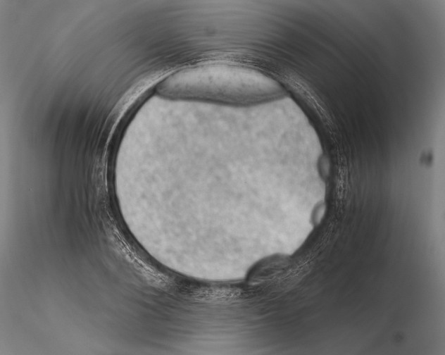 X0000115410884200912011338