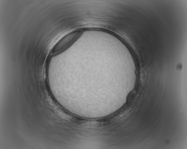 X0000115410885200912011338