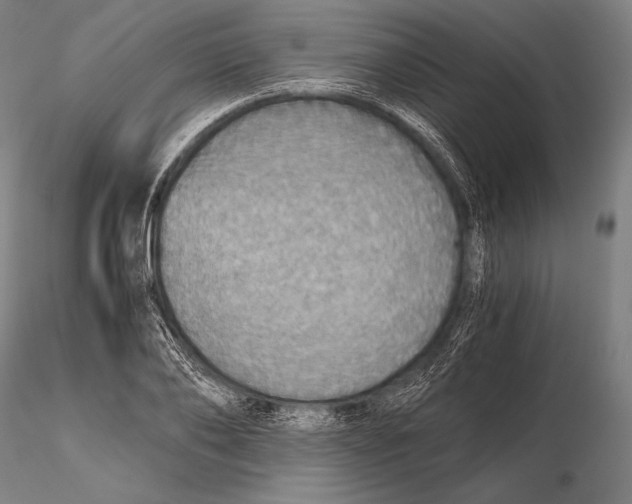 X0000115410886200912011338