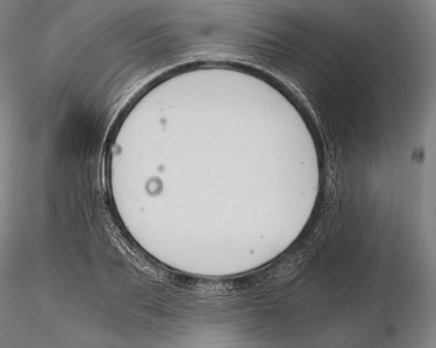 X0000115410887200912011338