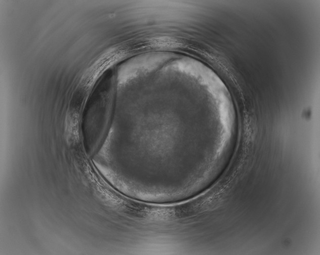 X0000115410889200912011337