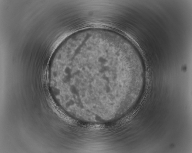 X0000115410891200912011337