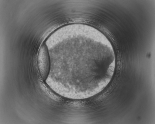 X0000115410892200912011337