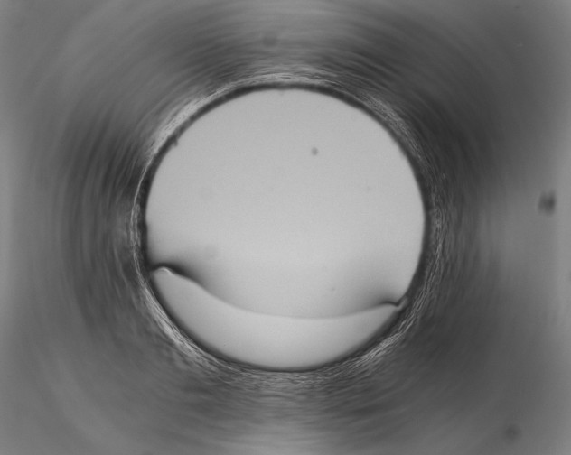 X0000115410893200912011337