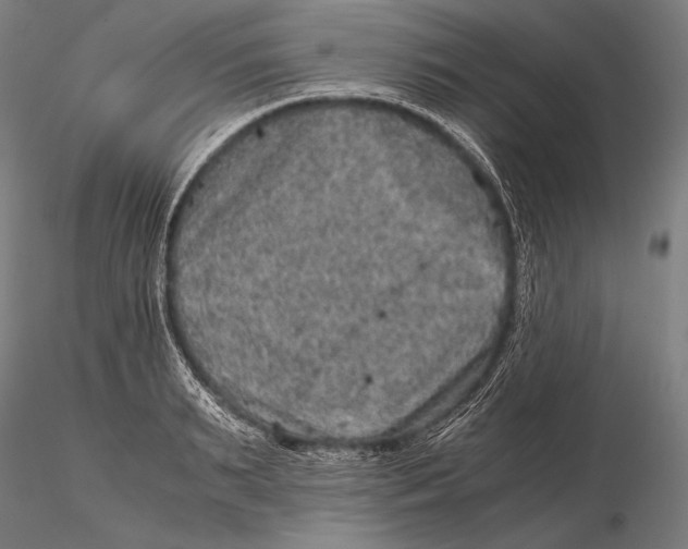 X0000115410895200912011337