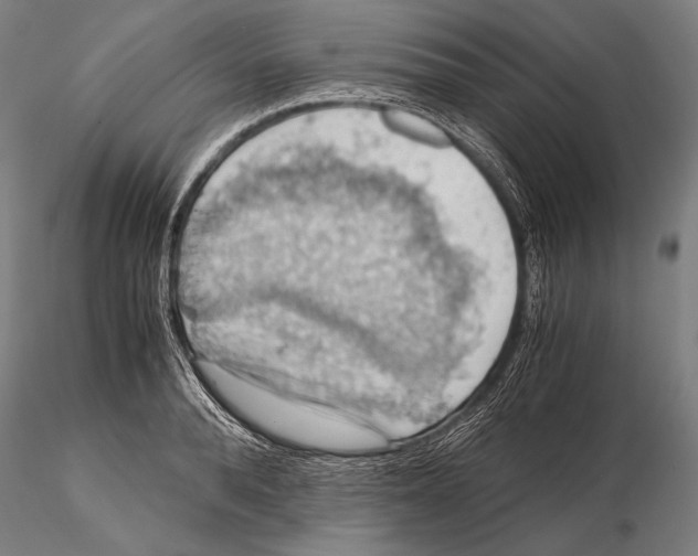 X0000115410896200912011337