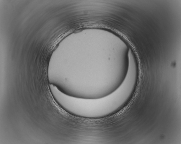 X0000115410897200912011337