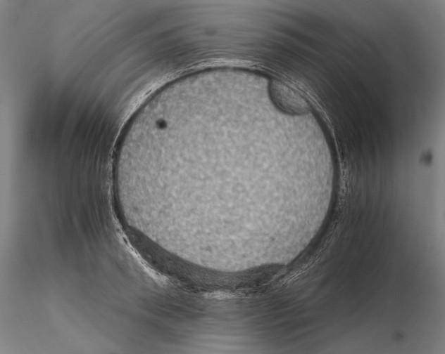 X0000115410898200912011337