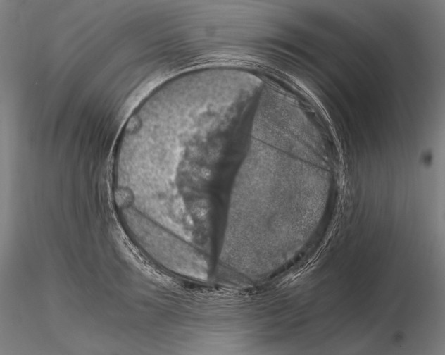 X0000115410899200912011337