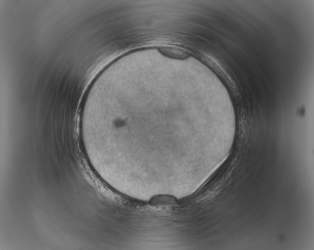 X0000115410900200912011337