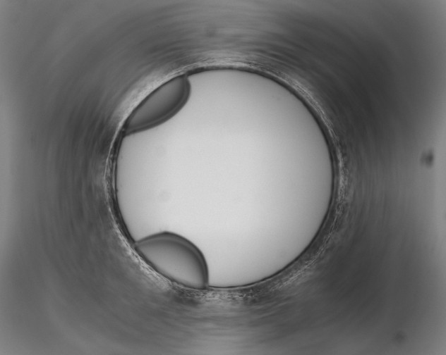 X0000115410901200912011337