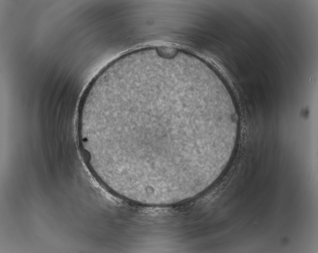 X0000115410902200912011337