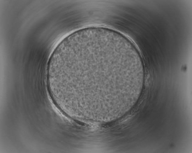 X0000115410903200912011337