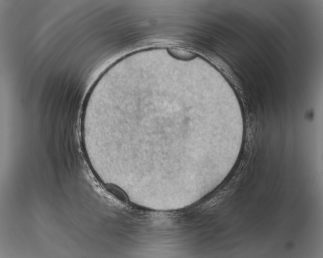 X0000115410904200912011337