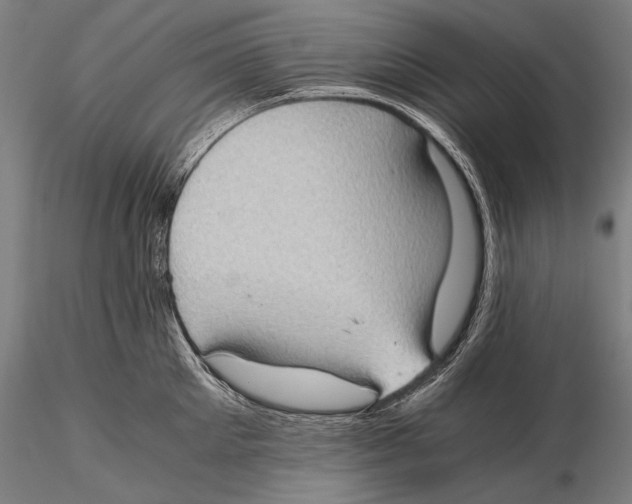 X0000115410905200912011337