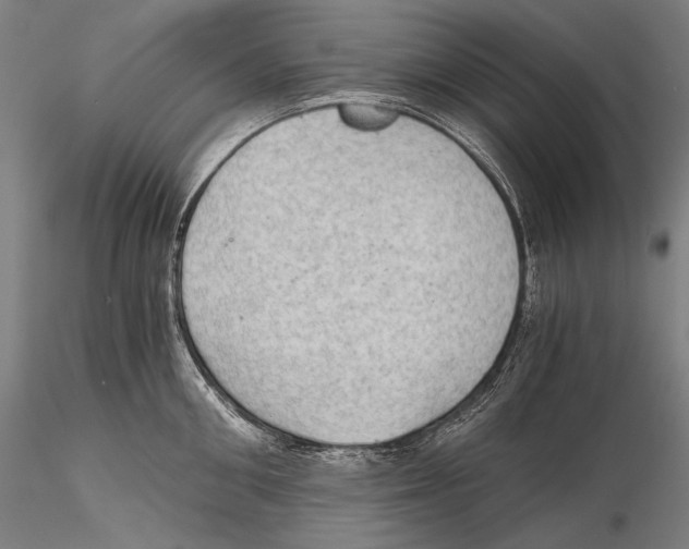 X0000115410906200912011337