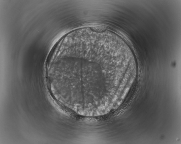 X0000115410907200912011337