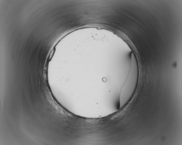 X0000115410908200912011337