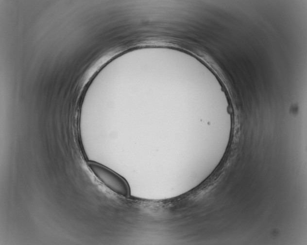 X0000115410909200912011337