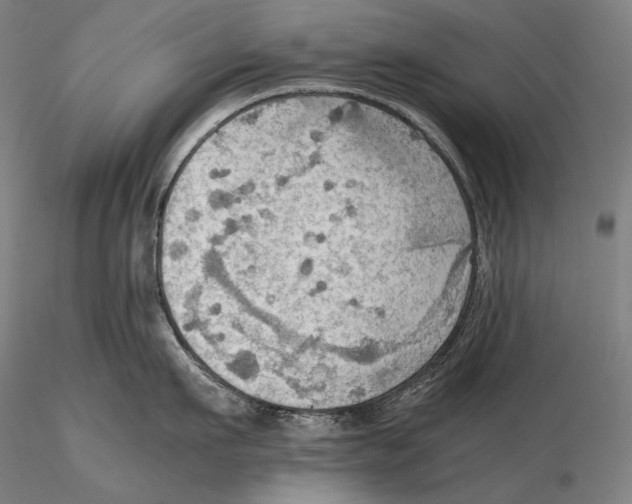 X0000115410911200912011337