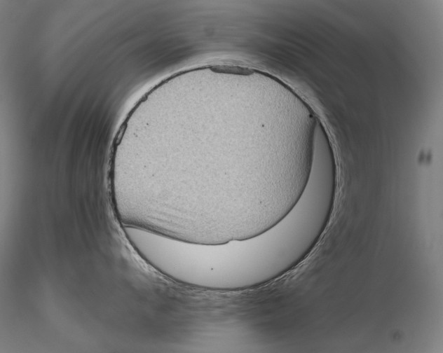 X0000115410912200912011337