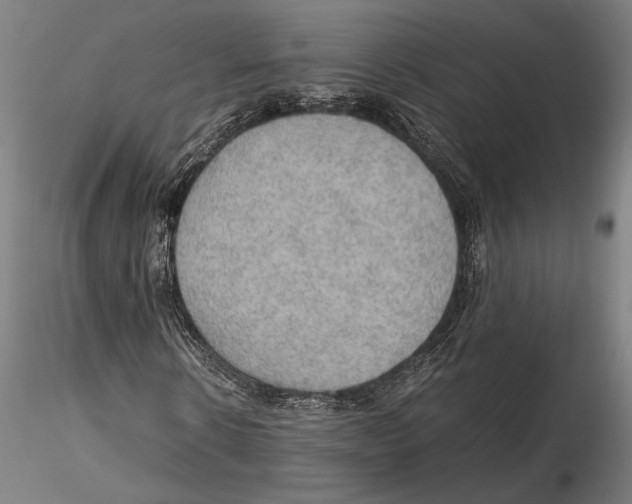 X0000115410914200912011336