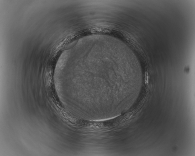 X0000115410915200912011336