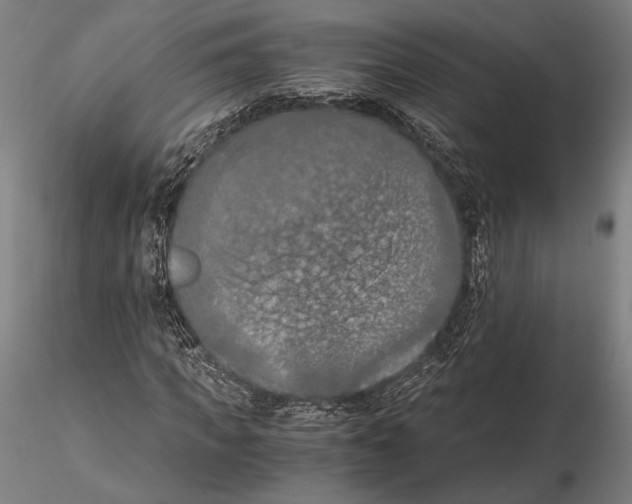 X0000115410917200912011336