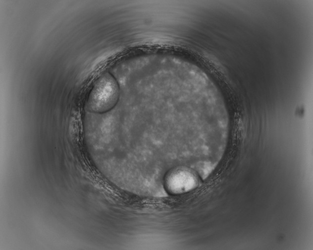 X0000115410918200912011336