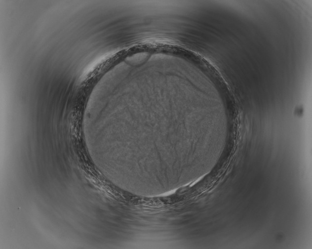 X0000115410919200912011336